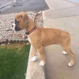 Meet your Posher, Luis